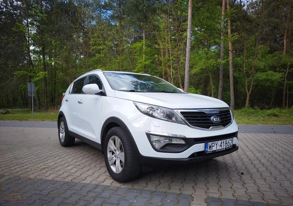 Kia Sportage cena 48500 przebieg: 174114, rok produkcji 2013 z Lubniewice małe 154